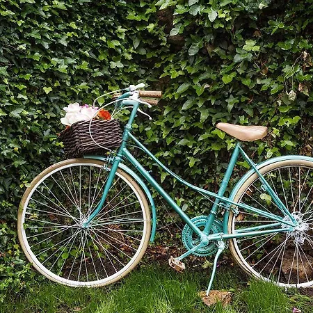 Hotel Ecocasa Lema Ii 3*