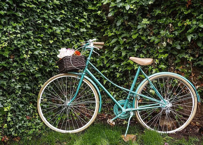 Hotel Ecocasa Lema Ii 3*